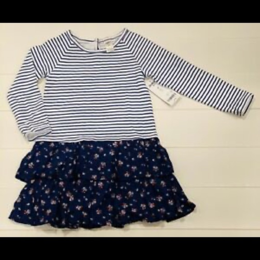 Oshkosh B’gosh Toddler Dress